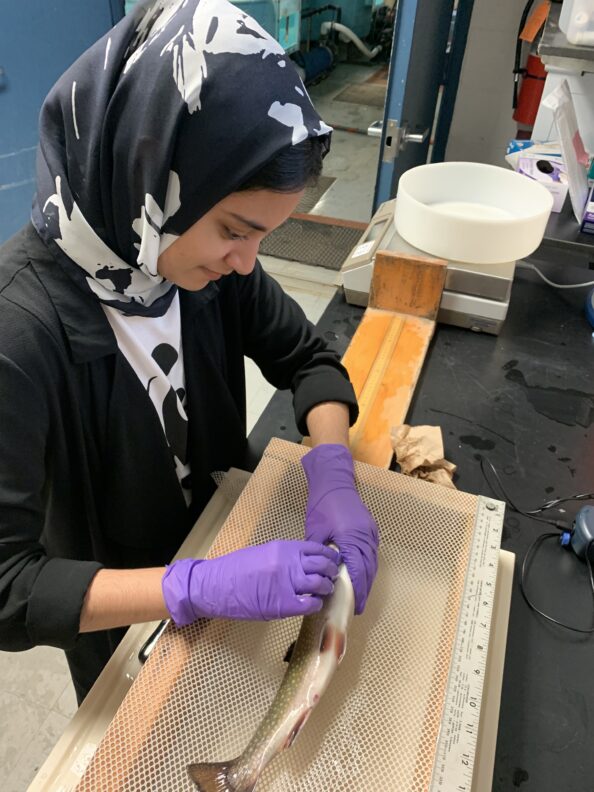 Aiman Raza (Cohort 2) tagging a Brook Trout